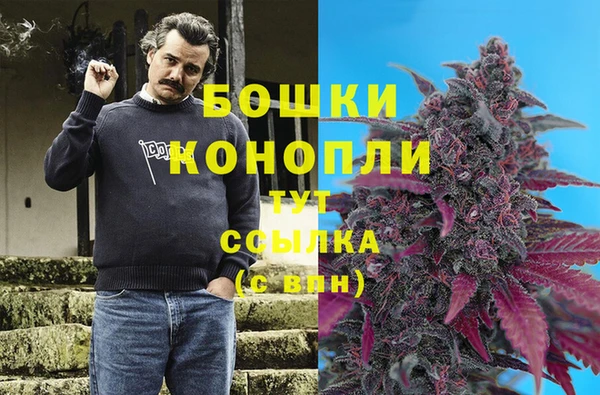 дурь Белоозёрский